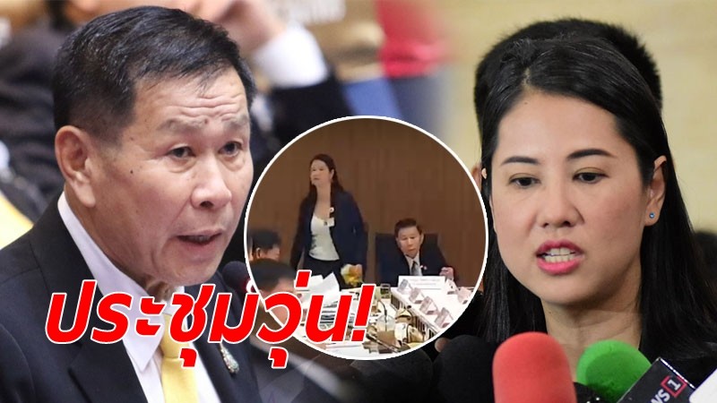 ศักดิ์ศรีค้ำคอ "ปารีณา" ลากเก้าอี้ นั่งข้าง "เสรีพิศุทธ์" กลางที่ประชุม กมธ.ป.ป.ช (มีคลิป)