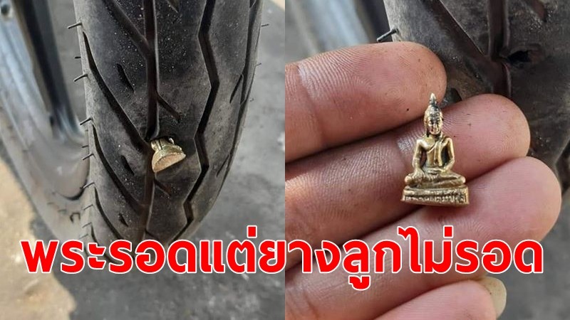 หนุ่มโพสต์ "พระทะลุยางรถ" เผยตามมาดูแลลูกช้างขนาดนี้ พระรอด แต่ยางรถลูกไม่รอด