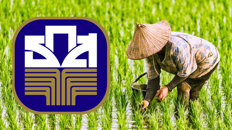 ธ.ก.ส. อนุมัติเงินสนับสนุน 3 โครงการ เยียวยาเกษตรกรผู้ปลูกข้าว