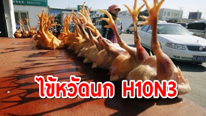 จีนพบผู้ติดเชื้อไข้หวัดนก H10N3 ในมนุษย์เป็นครั้งแรก