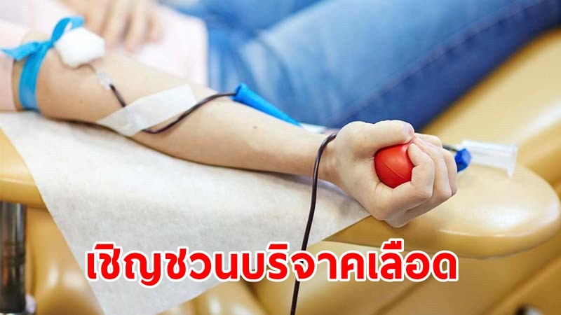 เข้าขั้นวิกฤต ! "รพ.รามาธิบดี" ขาดแคลนเลือดทุกกรุ๊ป ชวนคนไทยสุขภาพดี ช่วยกันบริจาค