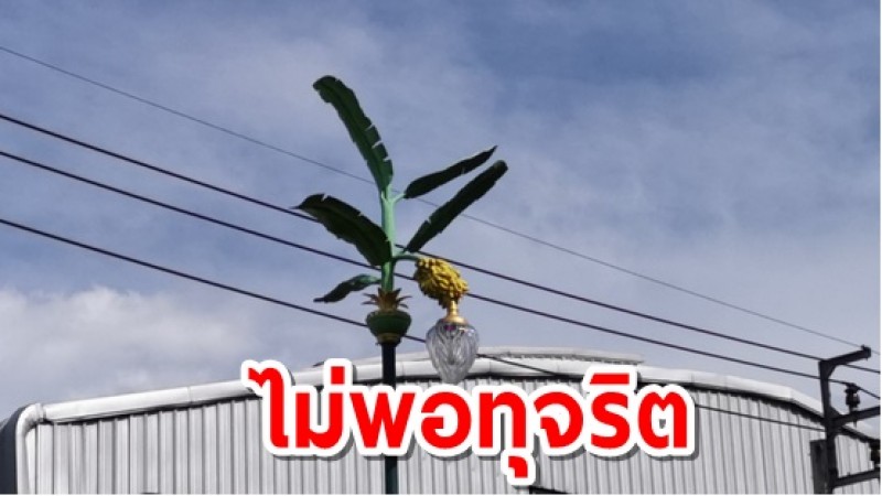 ป.ป.ท.ลุยตรวจเสาไฟต้นกล้วย จัดซื้อจัดจ้างตามระเบียบทุกอย่าง