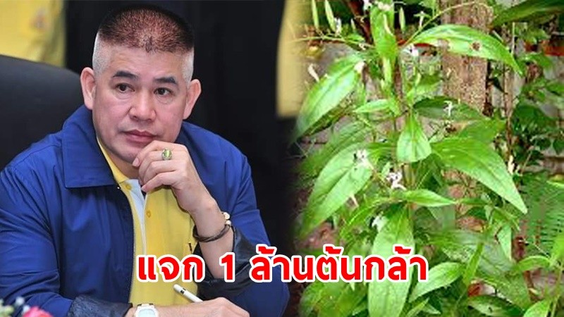 "ธรรมนัส" ตั้งเป้าผลิตต้นกล้า "ฟ้าทะลายโจร"ในเขตปฏิรูปที่ดิน พร้อมแจก"1 ล้านต้นกล้า" ภายใน 1 ปี