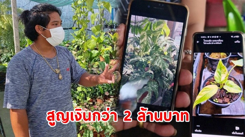 "2พ่อลูก" เจ้าของร้านต้นไม้ สุดช้ำ! ถูกคนร้ายย่องขโมยต้นไม้ราคาแพงนับ 30 ต้น สูญเงินกว่า 2 ล้านบาท