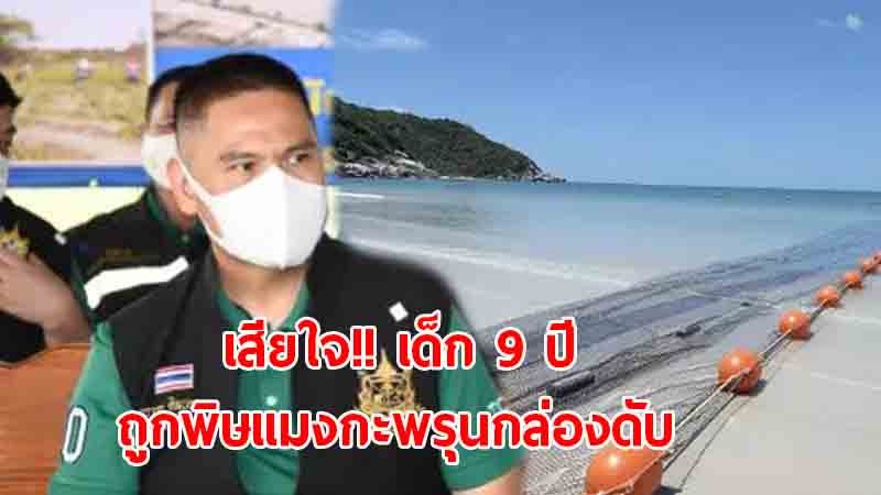 รมว.ทส. เสียใจ เด็กชายวัย 9 ปี ชาวอิสราเอล ถูกพิษแมงกะพรุนกล่องเสียชีวิต เร่งหาทางแก้ไขป้องกัน