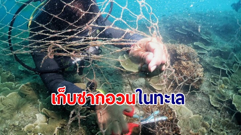 นักดำน้ำอาสาสมัคร เก็บ "ซากอวน" ออกจากแนวปะการัง หมู่เกาะกระ