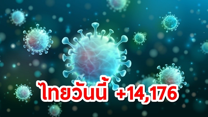 โควิดไทยวันนี้ พบผู้เสียชีวิต 228  ติดเชื้อรายใหม่ 14,176 ราย