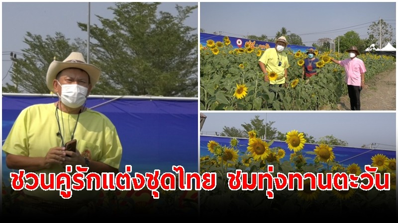 ลพบุรีเชิญคู่รักร่วมแต่งชุดไทยบอกรักกลางทุ่งทานตะวัน ในวันแห่งความรัก