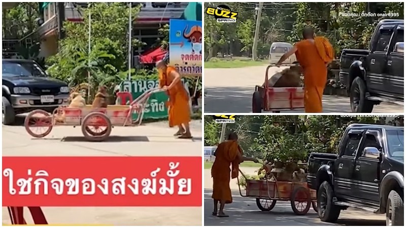 "หลวงพี่" เข็นรถไปรับหมาตัวแสบ หลังแอบไปเล่นข้างนอกได้ แต่กลับเองไม่ได้