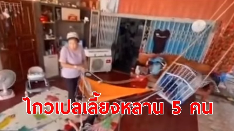 "คุณยาย" คนเดียวไกวเปล เลี้ยงหลาน 5 คน ชื่นชมยายแข็งแกร่งที่สุดในปฐพี