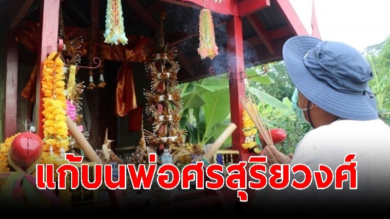 ชาวบ้านใช้กัญชาแก้บนพ่อศรสุริยวงศ์ หลังรัฐบาลปลดล็อค เขย่าติ้วเสี่ยงทายตัวเลข