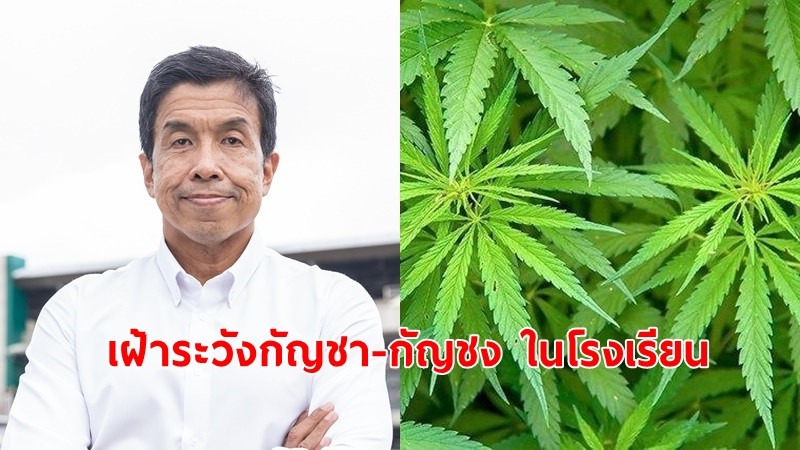 "ชัชชาติ"ประกาศคำสั่งกทม.ออก 9 มาตรการสกัดกัญชา-กัญชง โรงเรียนในสังกัด