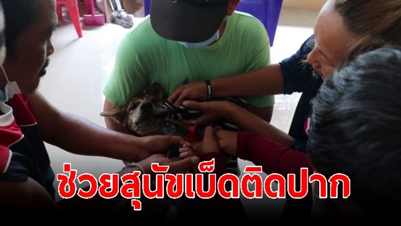 ผู้ใหญ่บ้านนำทีมช่วยสุนัขเบ็ดติดปาก รอดปลอดภัย