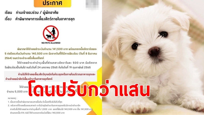 ศาลพิพากษา สั่งปรับ 141,500 บาท พร้อมดอกเบี้ย 5% ต่อปี ลูกบ้านแอบเลี้ยงสุนัขในคอนโด