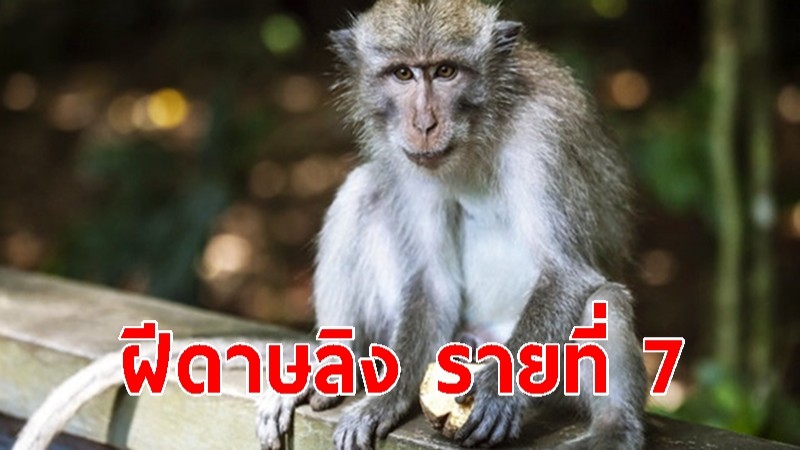 พบผู้ป่วยฝีดาษลิง รายที่ 7 เป็นเพศหญิง ประวัติใกล้ชิดชายต่างชาติ