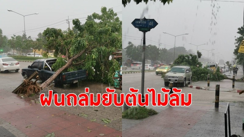 ฝนถล่มยับต้นไม้กว่า40ต้น ล้มทับรถยนต์พังกว่า 10 คัน