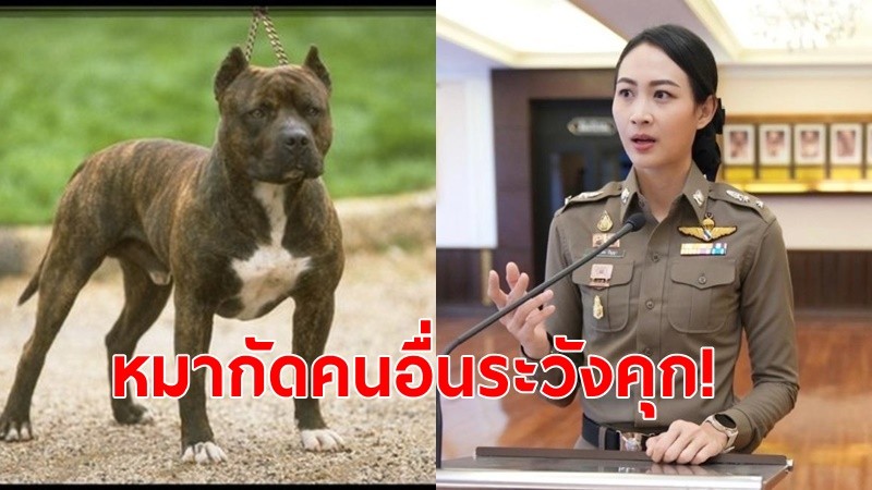 รองโฆษกตร. เตือนเลี้ยงสุนัขกัดคนอื่นระวังโทษหนักคุกสูงสุด10ปี คนที่กำลังตัดสินใจจะเลี้ยงสุนัข ต้องประเมินความพร้อมตัวเอง