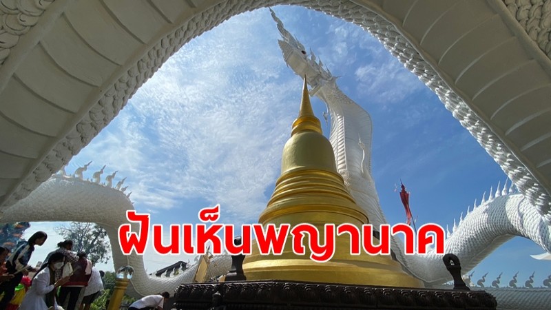 นักธุรกิจฝันเห็นพญานาคใต้ต้นไผ่ ตามหามา 3 ปี พบอยู่ที่เมืองช้าง