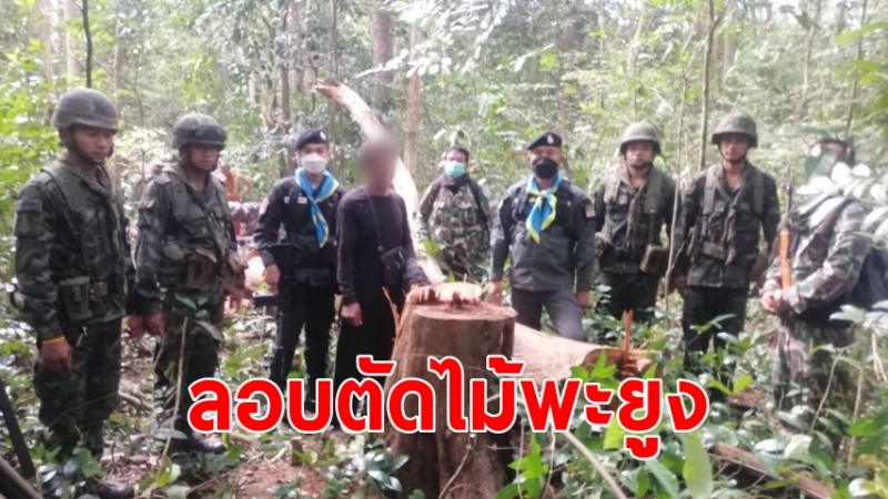 จนท.สนธิกำลัง จับกุมชายไทยลักลอบตัดไม้พะยูง ในพื้นที่ป่าเขตรักษาพันธุ์สัตว์ป่าห้วยทับทัน-ห้วยสำราญ 