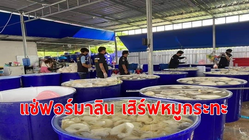 ปศุสัตว์ สั่งปูพรมตรวจโรงงานเนื้อสัตว์เถื่อน หลังบุกจับเนื้อสัตว์แช่ฟอร์มาลิน กระจายขายส่งร้านหมูกระทะชลบุรี-ระยอง