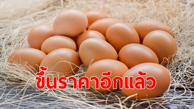 ราคาไข่ไก่ ปรับขึ้นราคาฟองละ 20 สตางค์ มีผล 6 ม.ค. นี้ จากฟองละ 3.40 บาท เป็นฟองละ 3.60 บาท หลังปลดแม่ไก่จำนวนมาก