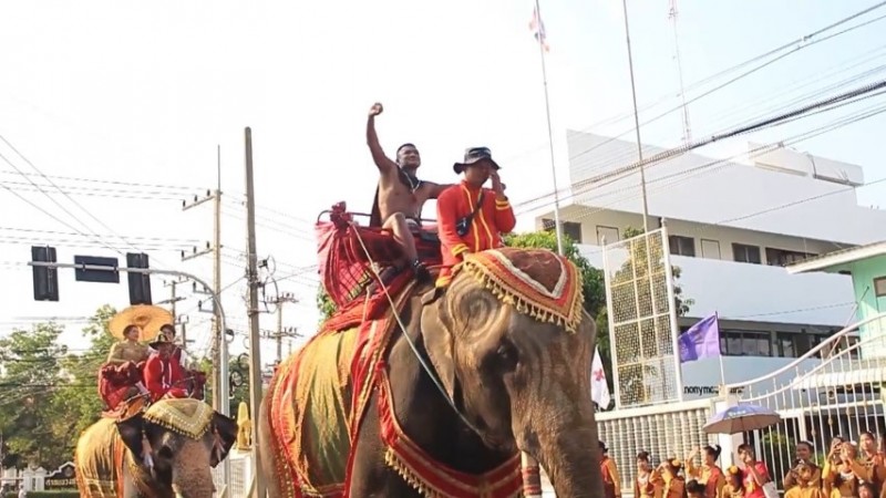 สุรินทร์จัดใหญ่เทศกาลงานวันช้างไทย ครั้งที่ 2 พ่อเมืองสุรินทร์ พร้อมบัวขาว พานั่งช้างนำขบวนแห่และนางรำกว่านับพันชีวิต