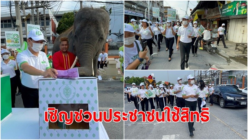 อยุธยา-กกต.อยุธยา จัดกิจกรรมออกรณรงค์โค้งสุดท้าย Big Day เชิญชวนประชาชนใช้สิทธิ