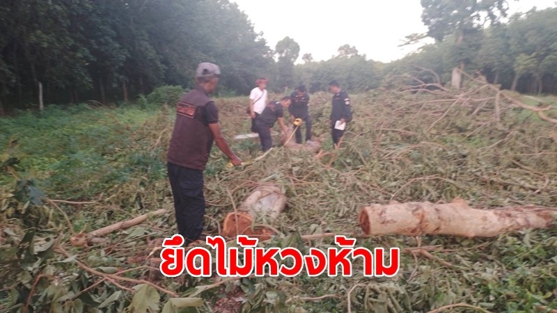 ตำรวจประสานความร่วมมือชุดปฏิบัติการป้องกันรักษาป่าไม้ เข้าจับกุม-ยึดไม้หวงห้าม 