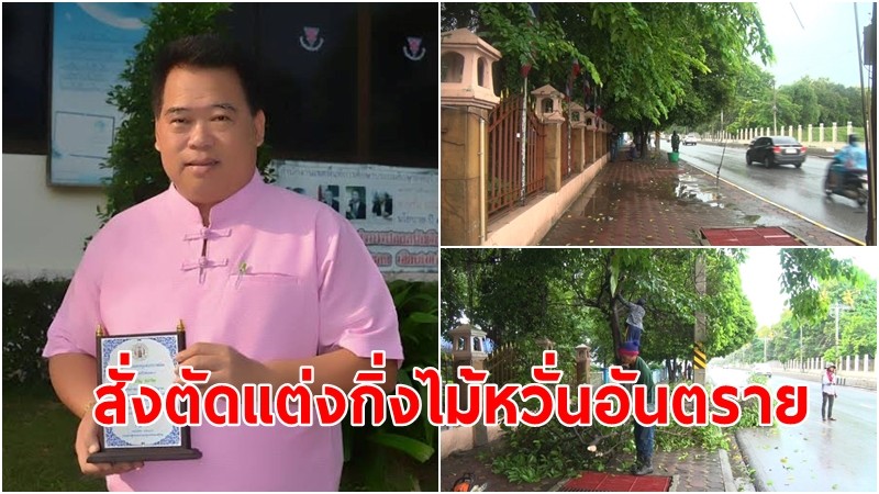 นายกเทศมนตรีเมืองลพบุรี สั่งตัดแต่งกิ่งไม้ บริเวณริมถนนนารายณ์มหาราช หลังพายุฝนลมแรง หวั่นอันตราย