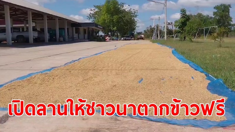 อบต.ทับทัน ใจดี เปิดลานให้ชาวนาตากข้าวฟรี ช่วยลดอุบัติเหตุบนถนน