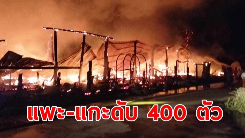 ไฟลุกพรึ่บไหม้อาคารโรงเรือนฟาร์มเลี้ยงแพะ-แกะ ตายกว่า 400 ตัว 