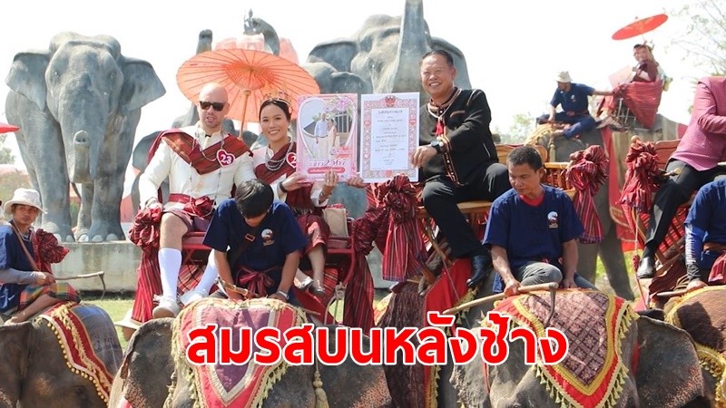 ยิ่งใหญ่! จดทะเบียนสมรสบนหลังช้าง รับวันวาเลนไทน์ 30 คู่รัก