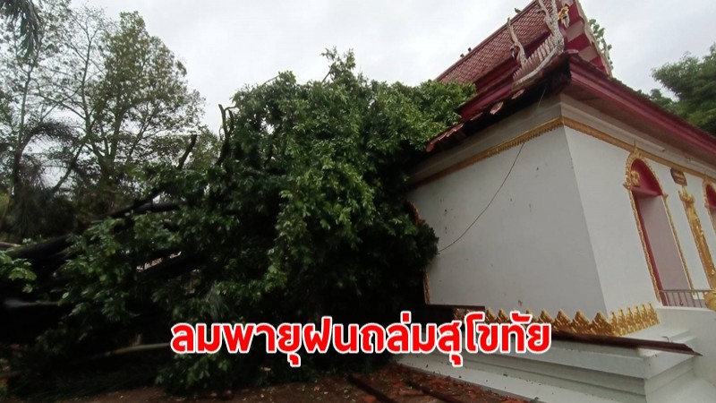 ลมพายุฝนถล่มสุโขทัย ต้นมะพลับอายุเกือบร้อยปีหักทับอุโบสถอายุ 133 ปี เสียหาย