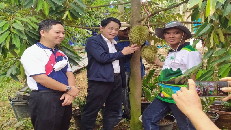 ธนาคารที่ดิน ปลื้มทุเรียนวิสาหกิจชุมชนเกษตรกรรุ่นใหม่พัฒนา จันทบุรี ล็อตแรกสร้างรายได้งาม