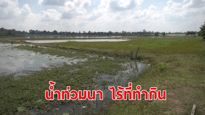 ชาวบ้านโวยไร้เหลียวแล เยียวยา น้ำท่วมนา 1 พันไร่ 35 ปี ไร้ที่ทำกิน