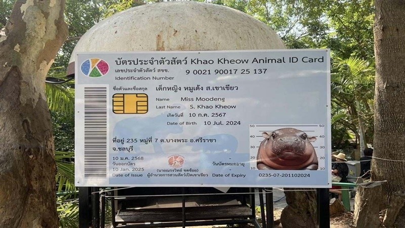 “หมูเด้ง” ครบ 6 เดือน มีบัตรประชาชนแล้ว