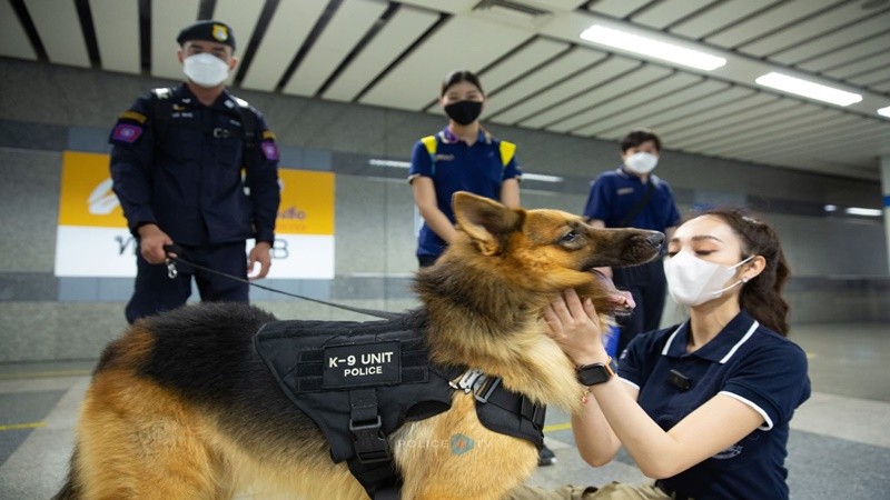 แฟนคลับ K9 เศร้า ! "สุนัขตำรวจตรีซาโบ้" ขวัญใจโซเชียล จากไปอย่างสงบ 